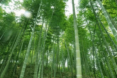 山東優(yōu)儀測控設(shè)備有限公司成立